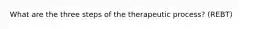 What are the three steps of the therapeutic process? (REBT)