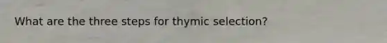 What are the three steps for thymic selection?