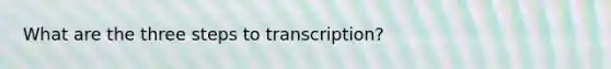 What are the three steps to transcription?