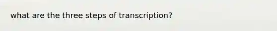 what are the three steps of transcription?