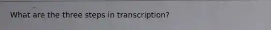 What are the three steps in transcription?