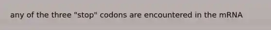 any of the three "stop" codons are encountered in the mRNA