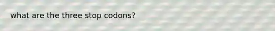 what are the three stop codons?