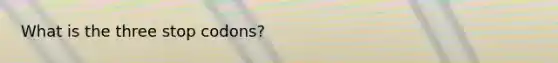 What is the three stop codons?