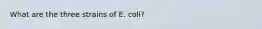 What are the three strains of E. coli?