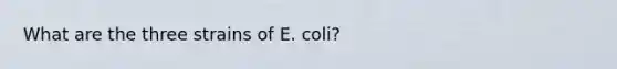 What are the three strains of E. coli?