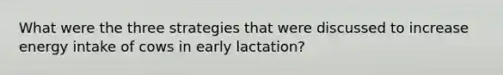 What were the three strategies that were discussed to increase energy intake of cows in early lactation?