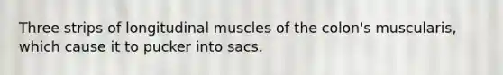 Three strips of longitudinal muscles of the colon's muscularis, which cause it to pucker into sacs.