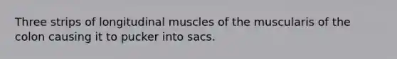 Three strips of longitudinal muscles of the muscularis of the colon causing it to pucker into sacs.