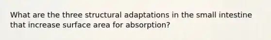 What are the three structural adaptations in the small intestine that increase surface area for absorption?