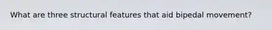 What are three structural features that aid bipedal movement?