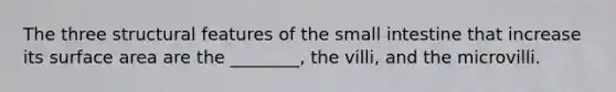 The three structural features of the small intestine that increase its surface area are the ________, the villi, and the microvilli.