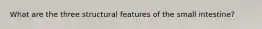What are the three structural features of the small intestine?