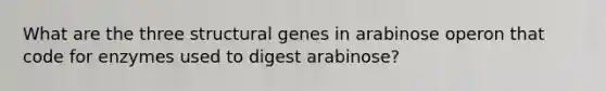 What are the three structural genes in arabinose operon that code for enzymes used to digest arabinose?