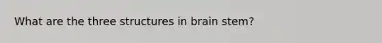 What are the three structures in brain stem?