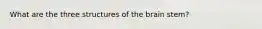 What are the three structures of the brain stem?