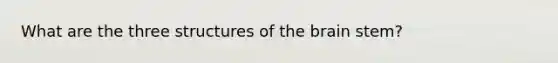 What are the three structures of the brain stem?