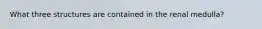 What three structures are contained in the renal medulla?