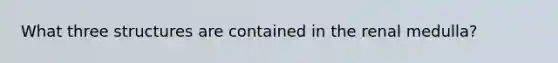 What three structures are contained in the renal medulla?