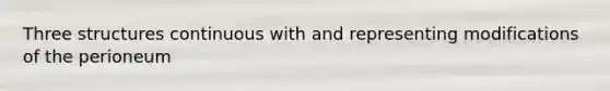 Three structures continuous with and representing modifications of the perioneum