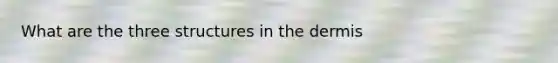 What are the three structures in the dermis