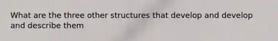 What are the three other structures that develop and develop and describe them