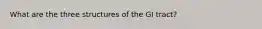 What are the three structures of the GI tract?
