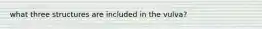 what three structures are included in the vulva?