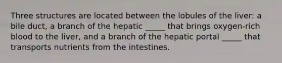 Three structures are located between the lobules of the liver: a bile duct, a branch of the hepatic _____ that brings oxygen-rich blood to the liver, and a branch of the hepatic portal _____ that transports nutrients from the intestines.