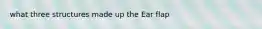 what three structures made up the Ear flap