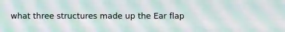 what three structures made up the Ear flap