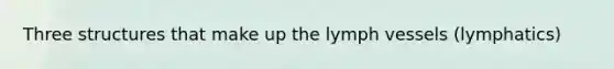 Three structures that make up the lymph vessels (lymphatics)