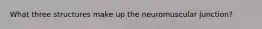 What three structures make up the neuromuscular junction?