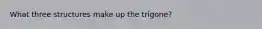 What three structures make up the trigone?