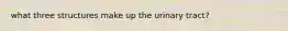 what three structures make up the urinary tract?