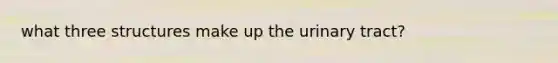 what three structures make up the urinary tract?
