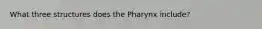 What three structures does the Pharynx include?