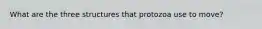 What are the three structures that protozoa use to move?