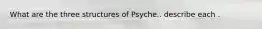 What are the three structures of Psyche.. describe each .