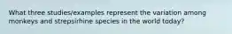 What three studies/examples represent the variation among monkeys and strepsirhine species in the world today?