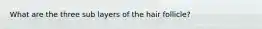 What are the three sub layers of the hair follicle?