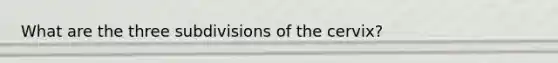 What are the three subdivisions of the cervix?