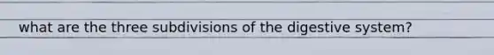 what are the three subdivisions of the digestive system?