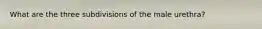 What are the three subdivisions of the male urethra?