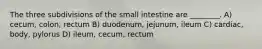 The three subdivisions of the small intestine are ________. A) cecum, colon, rectum B) duodenum, jejunum, ileum C) cardiac, body, pylorus D) ileum, cecum, rectum