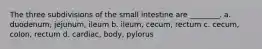 The three subdivisions of the small intestine are ________. a. duodenum, jejunum, ileum b. ileum, cecum, rectum c. cecum, colon, rectum d. cardiac, body, pylorus