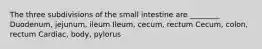 The three subdivisions of the small intestine are ________ Duodenum, jejunum, ileum Ileum, cecum, rectum Cecum, colon, rectum Cardiac, body, pylorus