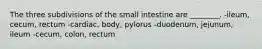 The three subdivisions of the small intestine are ________. -ileum, cecum, rectum -cardiac, body, pylorus -duodenum, jejunum, ileum -cecum, colon, rectum