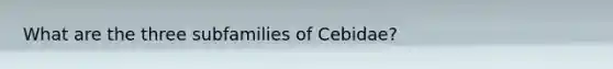 What are the three subfamilies of Cebidae?