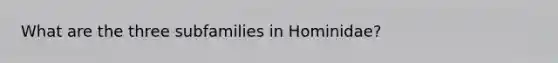 What are the three subfamilies in Hominidae?